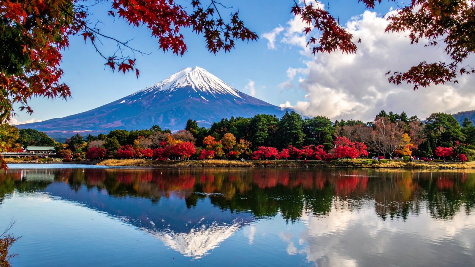 mountain fuji with autumn foliage