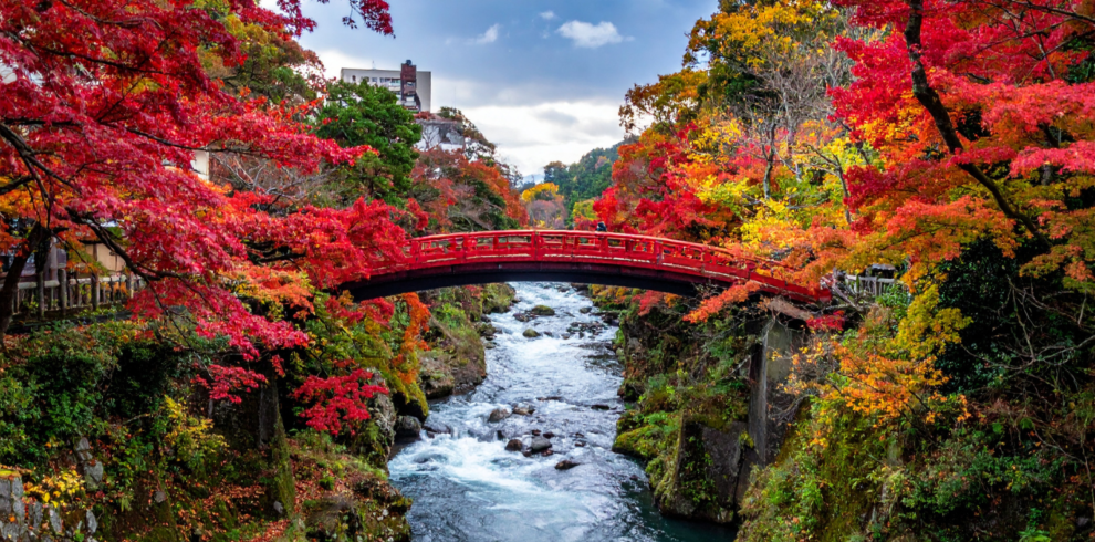 Shinkyo Bridge in Nikko Japan During Autumn