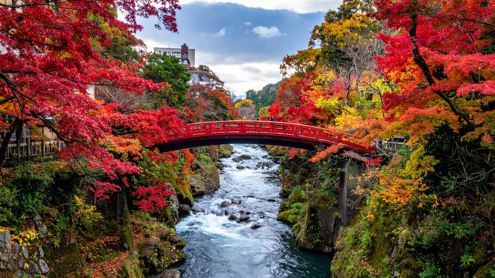 Shinkyo Bridge in Nikko Japan During Autumn