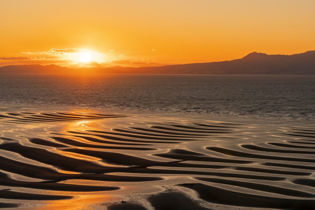 Island Adventures in Yakushima: Ancient Forests and Untamed Nature