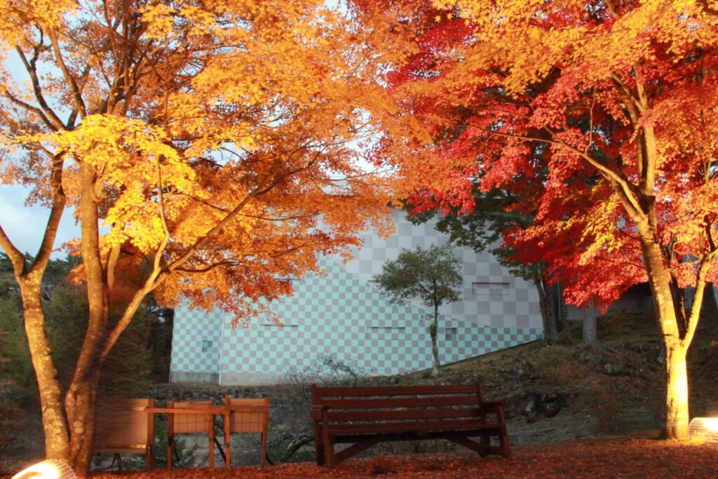 Skip the Crowds This Fall: 5 Hidden Scenic Spots in Hakone