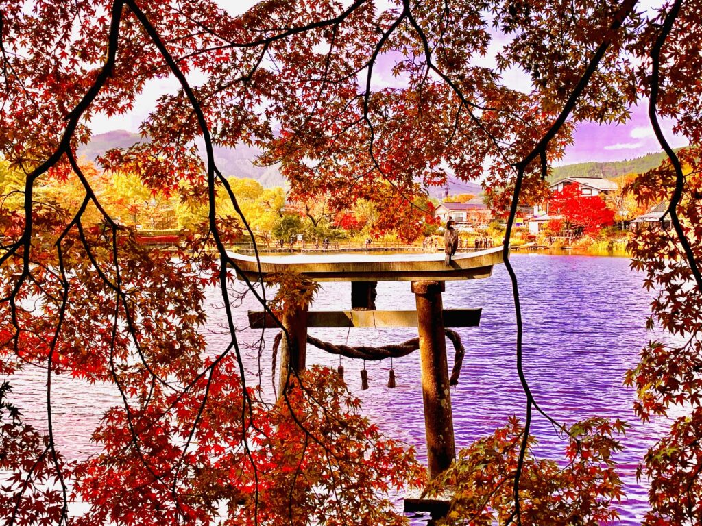 Kyushu Onsen Etiquette: A Complete Guide for First-Time Visitors