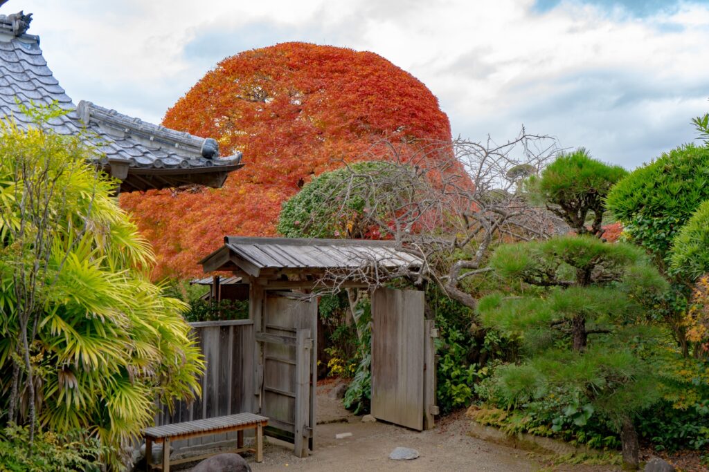 Sakurajima: Exploring Japan’s Most Active Volcano