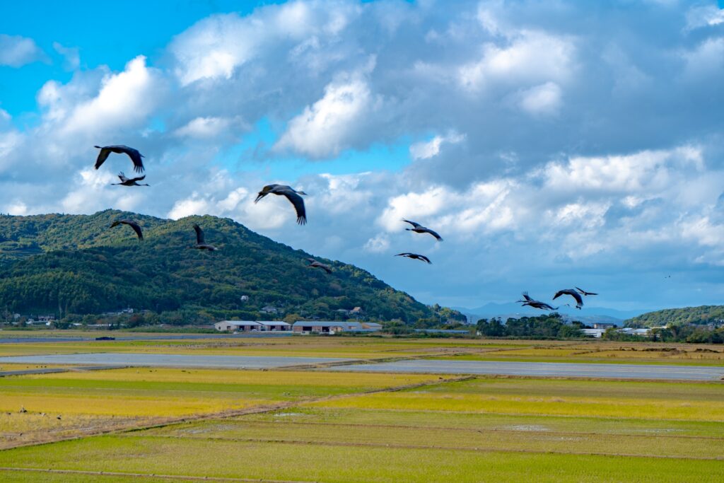 Sakurajima: Exploring Japan’s Most Active Volcano