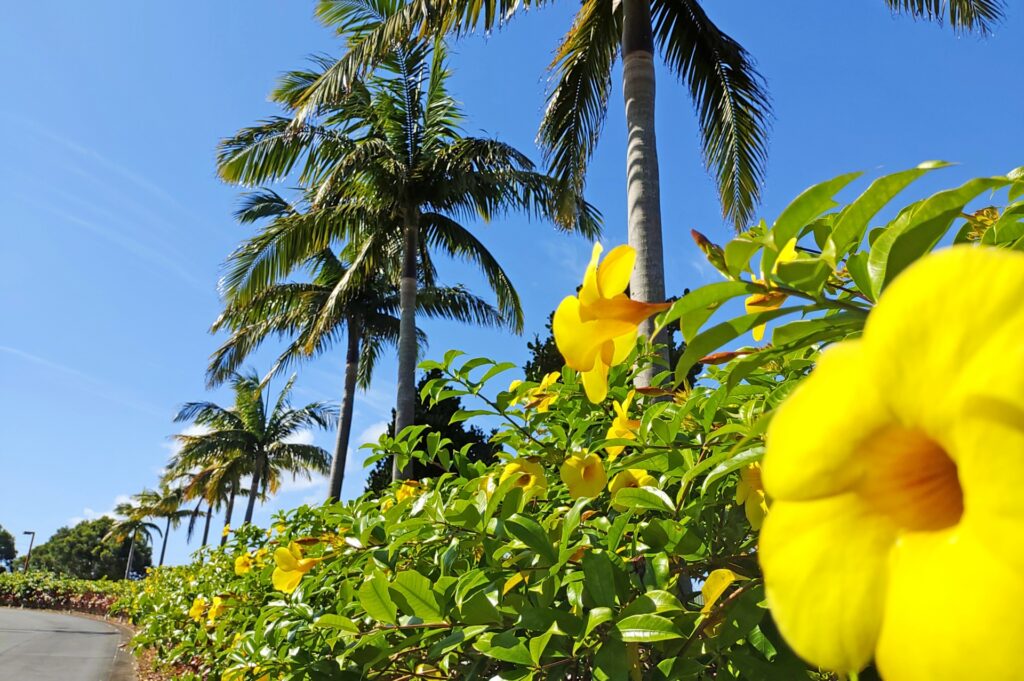 Kerama Islands: Discover Okinawa’s Crystal-Clear Paradise