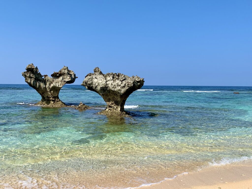 Okinawa Churaumi Aquarium: Exploring the Wonders of the Ocean