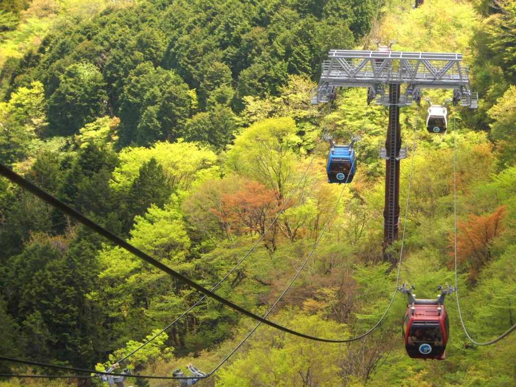 Escape the Crowds: Quiet Autumn Spots in Hakone for a Peaceful Fall Getaway