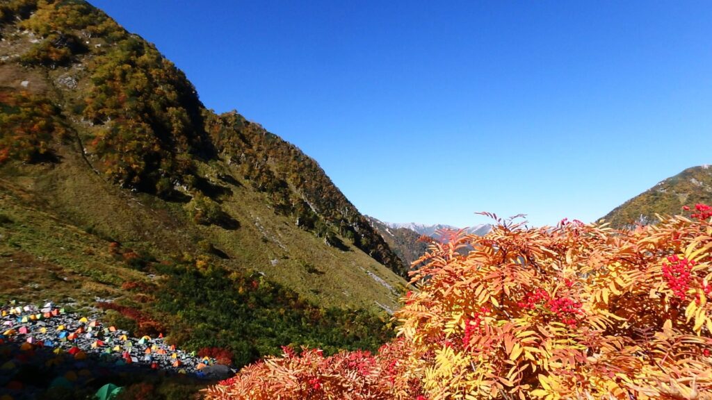 Autumn in Kamikochi: Discover the Golden Beauty of the Japanese Alps