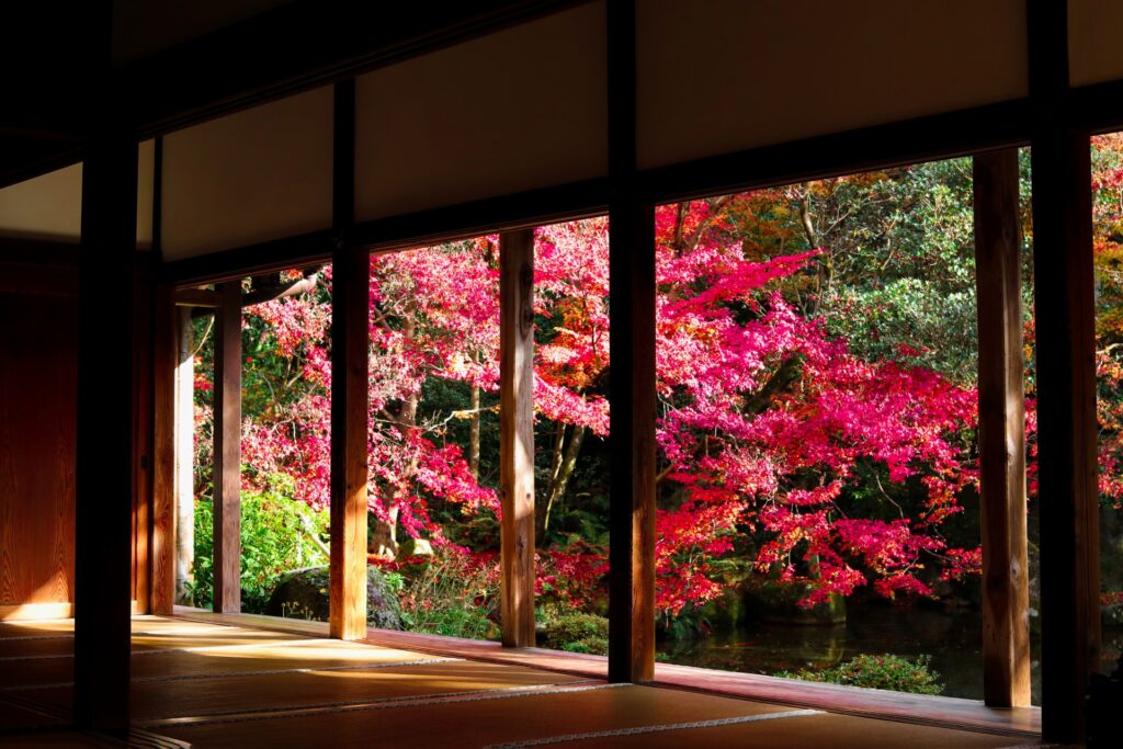 Off the Beaten Path: Secret Autumn Views in Hakone Most Tourists Miss