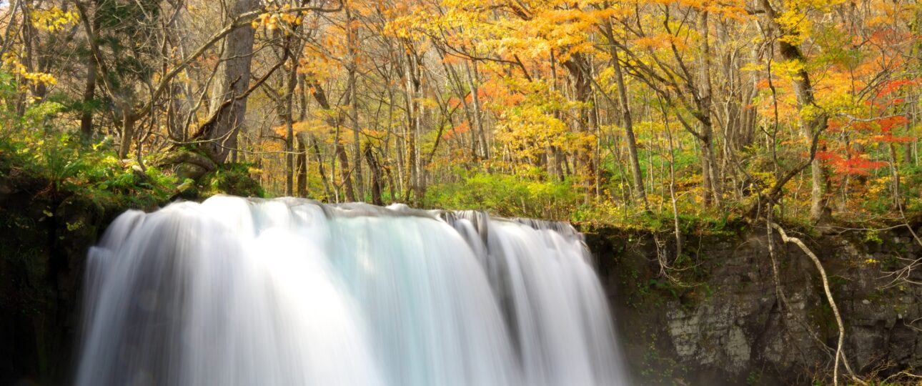 Oirase Gorge in Autumn: Walking Through Japan’s Most Beautiful Forest Stream
