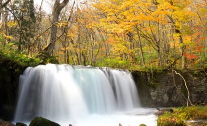 Oirase Gorge in Autumn: Walking Through Japan’s Most Beautiful Forest Stream