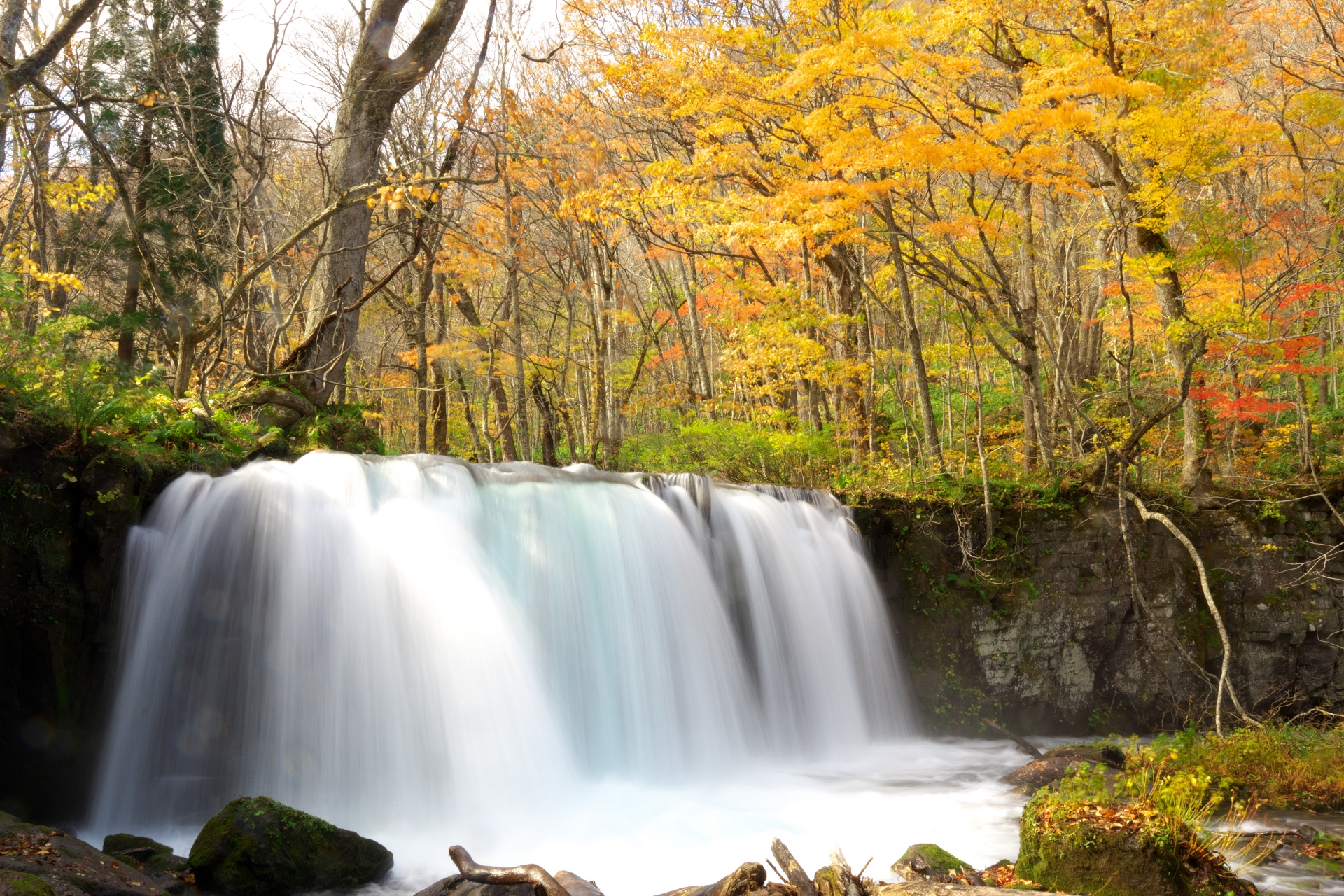 Oirase Gorge in Autumn: Walking Through Japan’s Most Beautiful Forest Stream