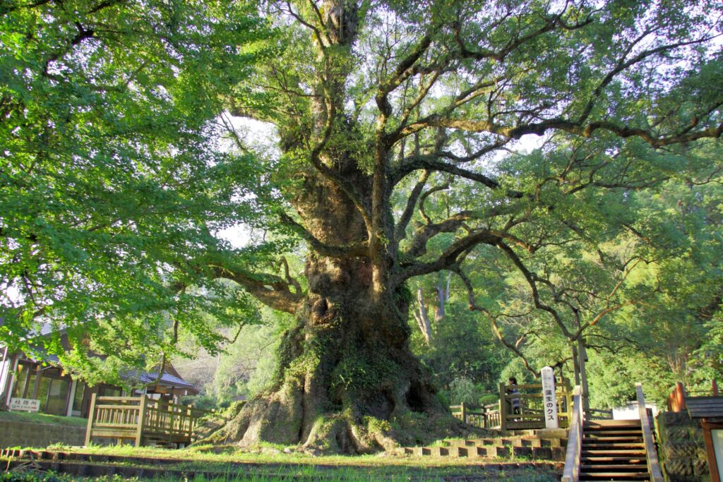Sakurajima: Exploring Japan’s Most Active Volcano
