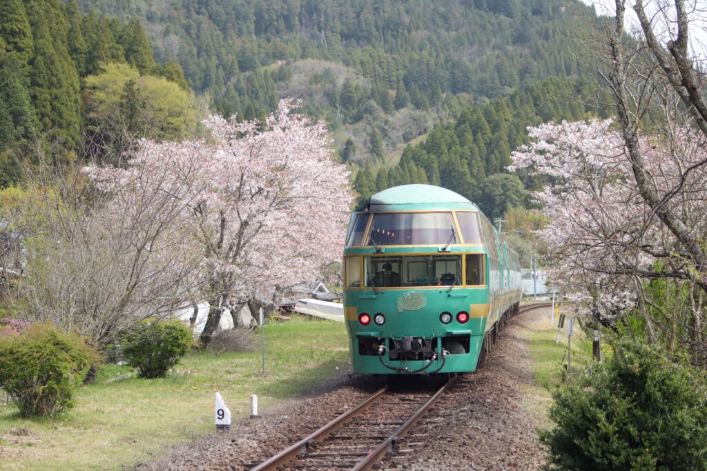 Hidden Hot Spring Paradise: A Journey to Kurokawa Onsen in Kumamoto
