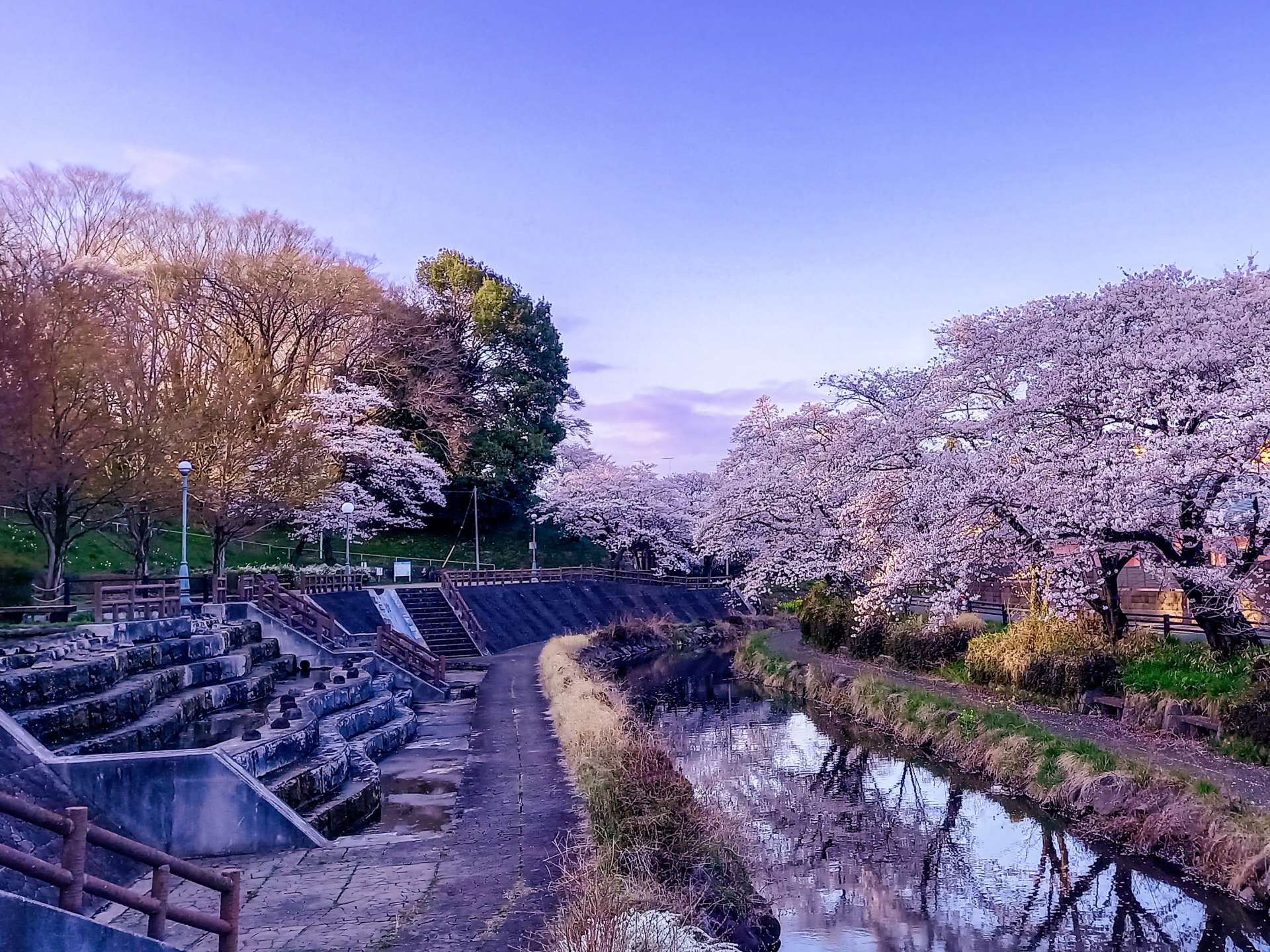 Cherry Blossom Day Trips from Tokyo Without the Crowds