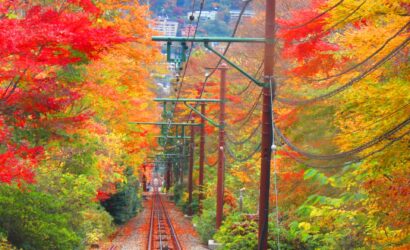 Skip the Crowds This Fall: 5 Hidden Scenic Spots in Hakone