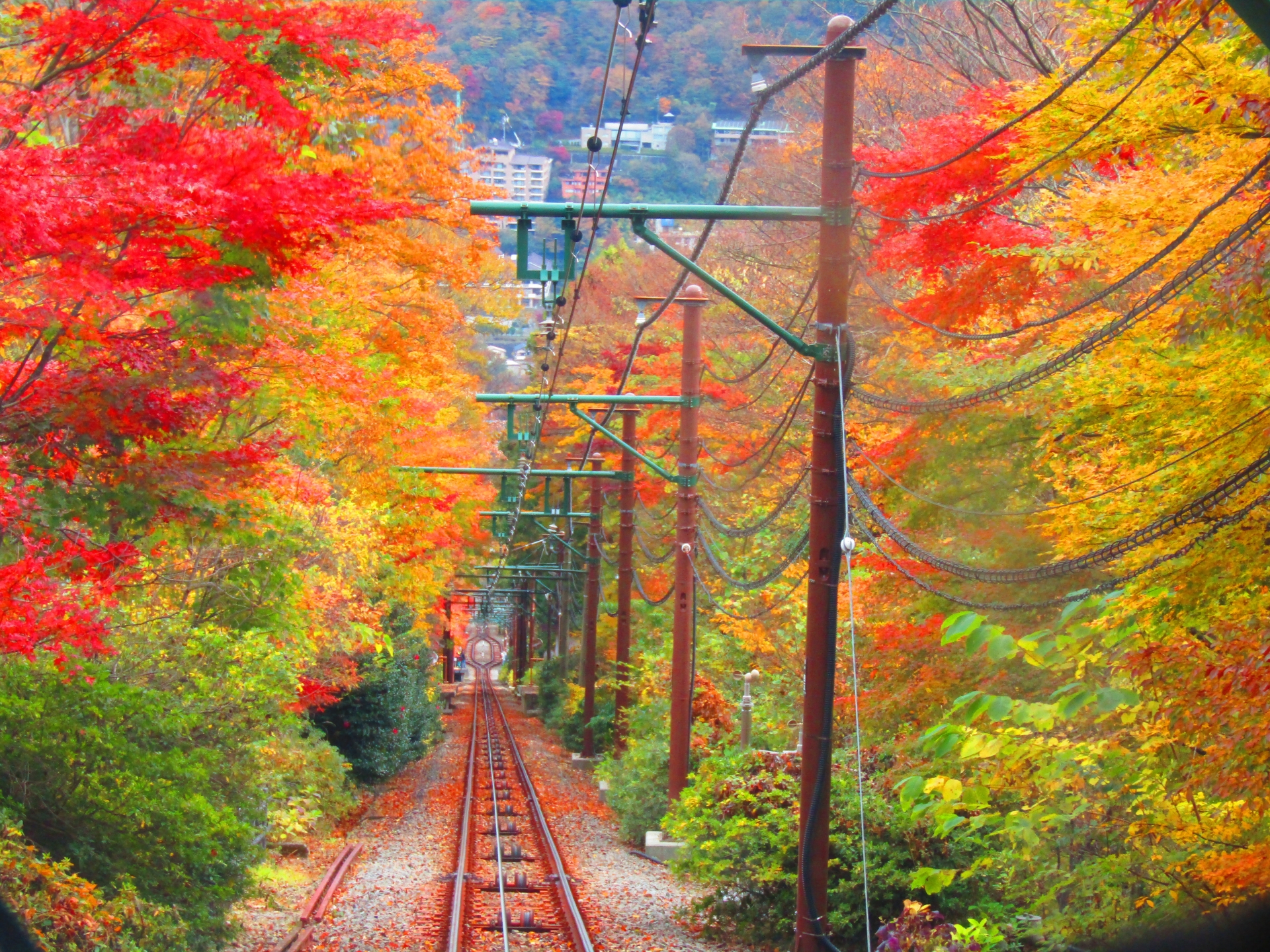 Skip the Crowds This Fall: 5 Hidden Scenic Spots in Hakone