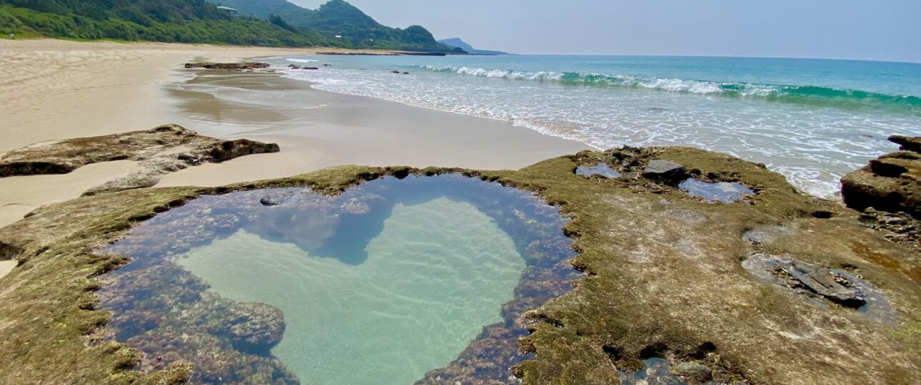 Island Adventures in Yakushima: Ancient Forests and Untamed Nature