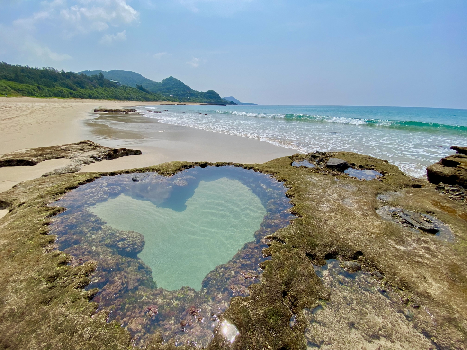 Island Adventures in Yakushima: Ancient Forests and Untamed Nature