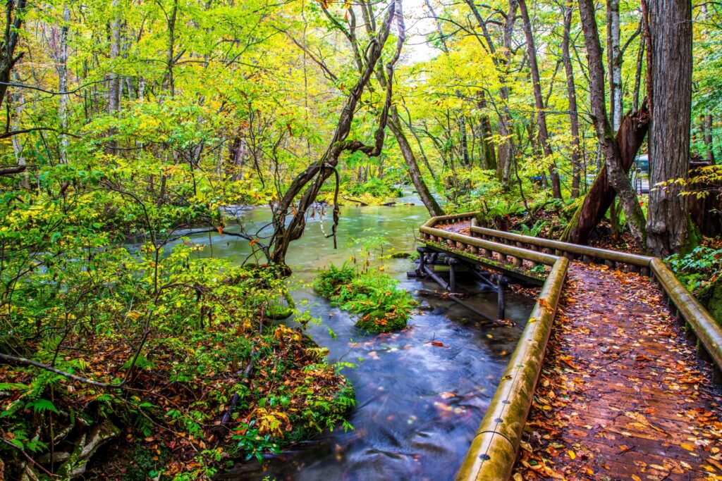7-Day Real Tohoku Itinerary | Hidden Tohoku Cherry Blossom Itinerary 7-Day Real Tohoku Itinerary | Hidden Tohoku Cherry Blossom Itinerary