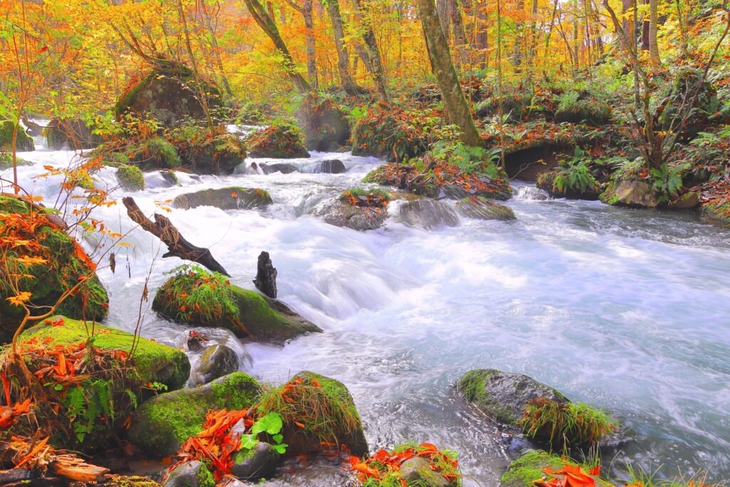 Hachimantai in Autumn: Discover Japan’s Earliest Fall Colors in the Mountains