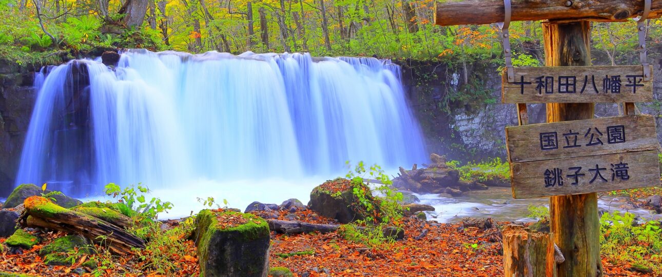 Hachimantai in Autumn: Discover Japan’s Earliest Fall Colors in the Mountains