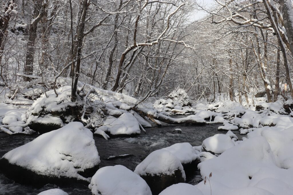 Hokkaido vs Aomori: Where to See the Best Snow in Japan? Hokkaido vs Aomori: Where to See the Best Snow in Japan?
