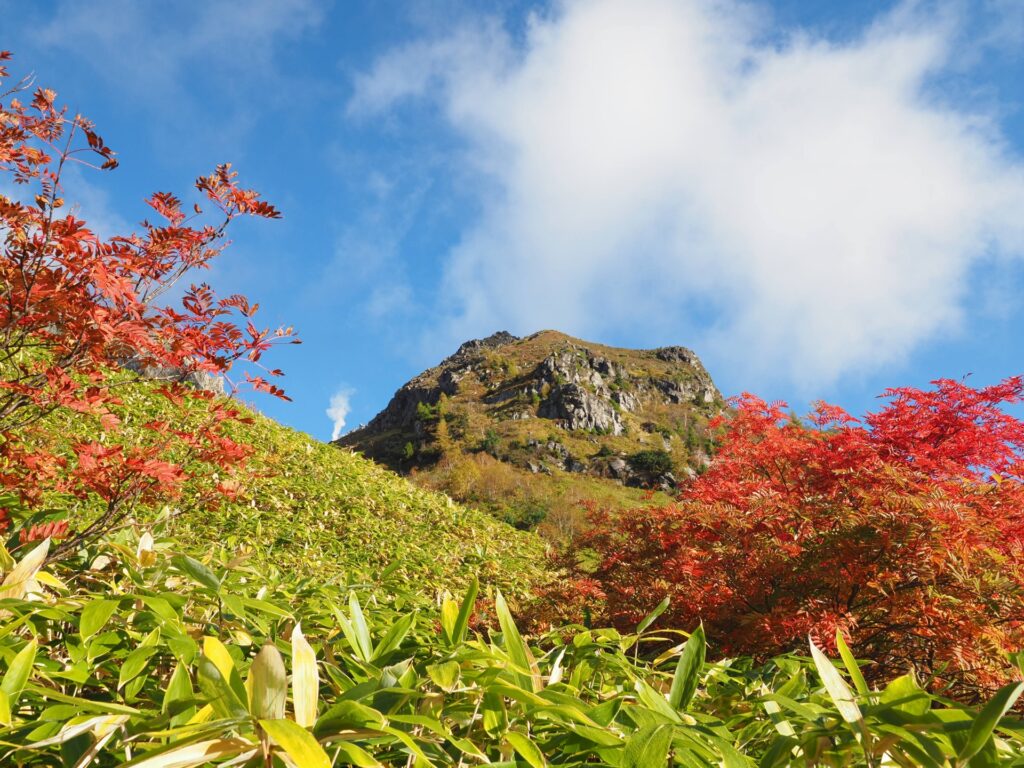 Autumn in Kamikochi: Discover the Golden Beauty of the Japanese Alps