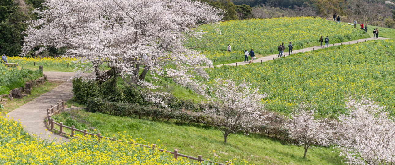 Hidden Nagasaki: Exploring the Quiet Beauty and Untold Stories of Japan’s Historic Port Prefecture