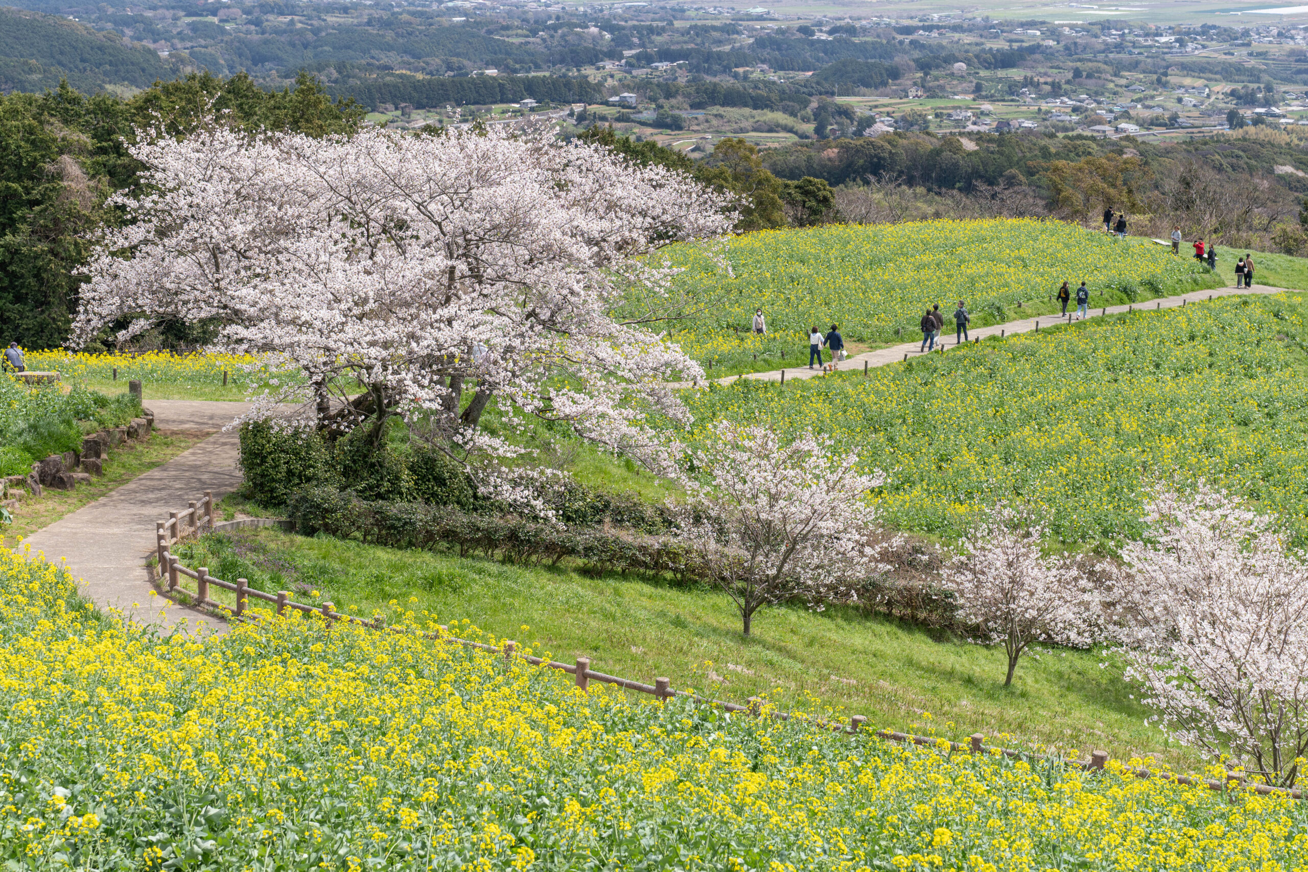 Hidden Nagasaki: Exploring the Quiet Beauty and Untold Stories of Japan’s Historic Port Prefecture