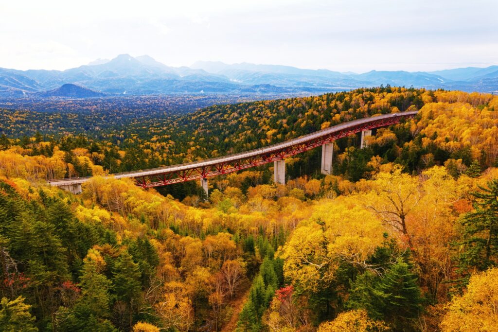 Japan Autumn Colors Guide: Why Hokkaido Peaks Earlier Japan Autumn Colors Guide: Why Hokkaido Peaks Earlier
