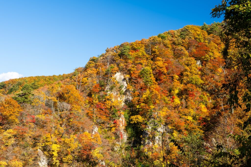 Naruko Gorge: One of Japan’s Most Spectacular Hidden Autumn Valleys