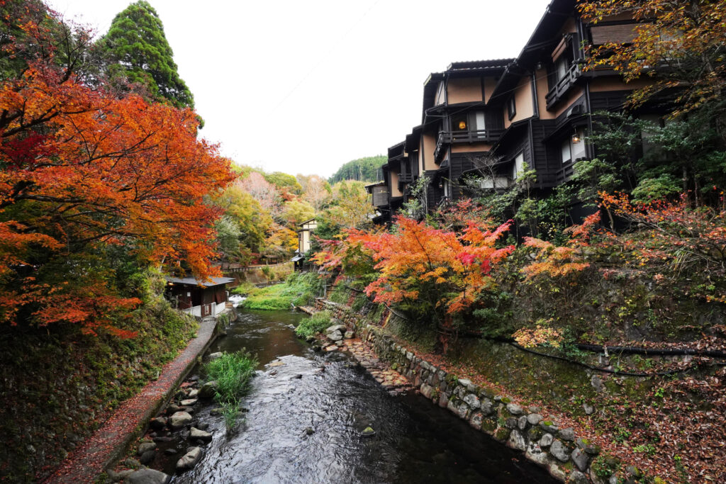 Kurokawa Onsen: Kyushu’s Most Charming Traditional Hot Spring Village