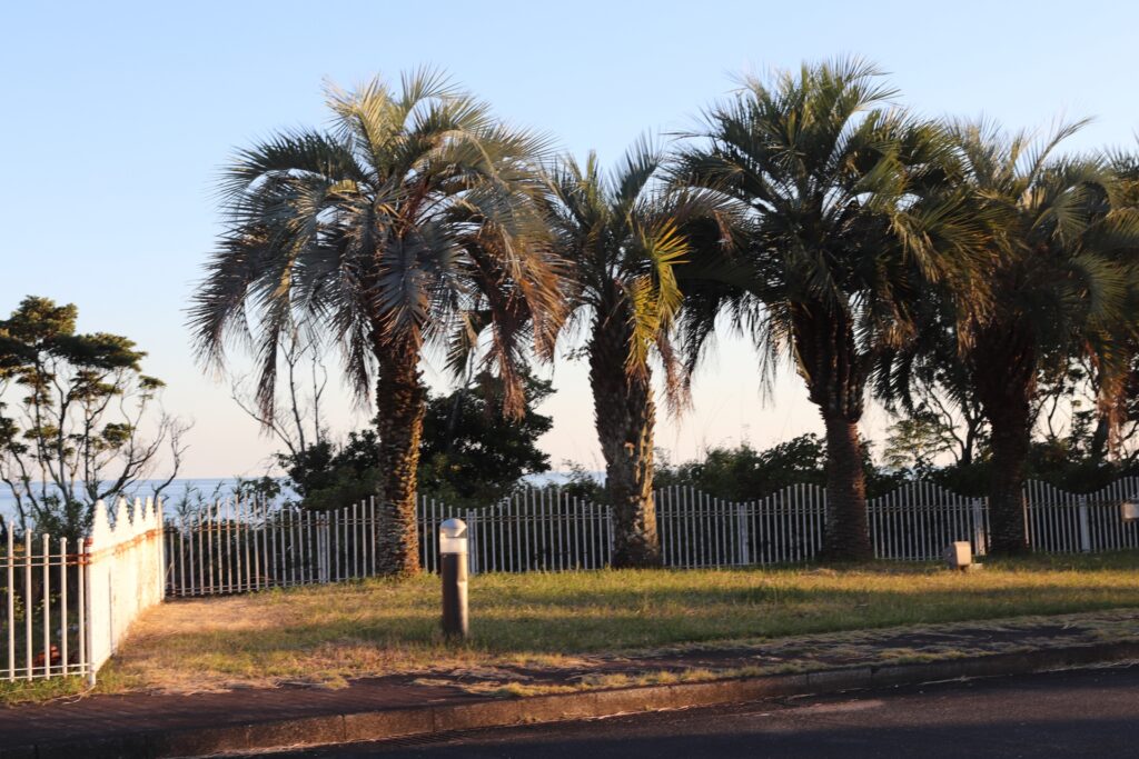 Udo Shrine and the Dramatic Cliffs of Miyazaki’s Southern Coast