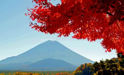 Escape the Crowds: Quiet Autumn Spots in Hakone for a Peaceful Fall Getaway