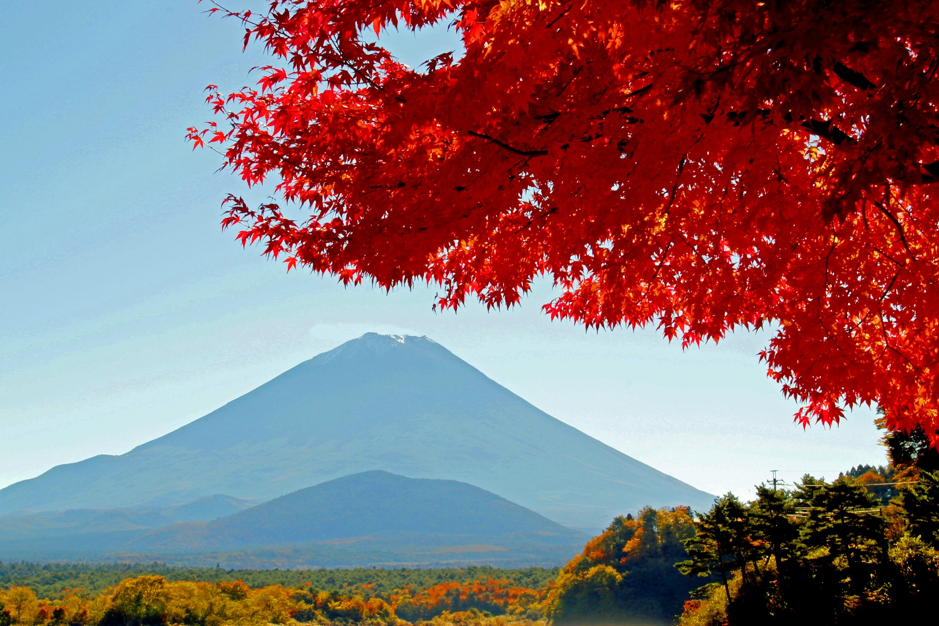 Escape the Crowds: Quiet Autumn Spots in Hakone for a Peaceful Fall Getaway