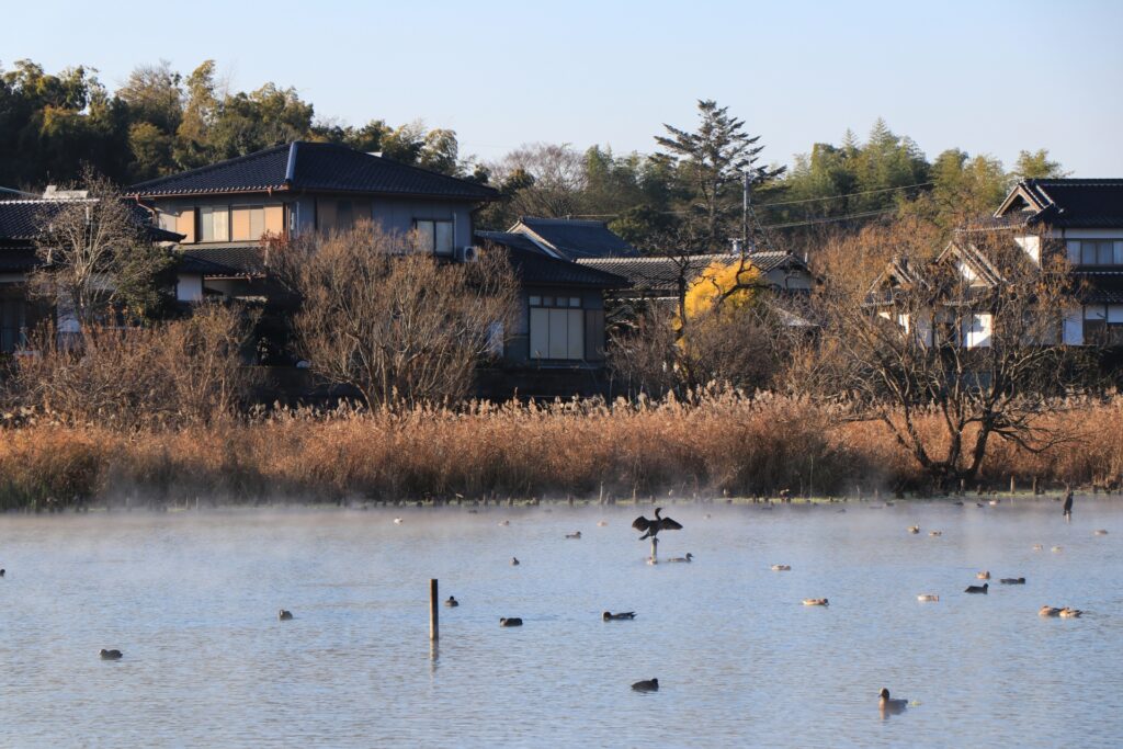 Inside the Land of Fire: Exploring the Powerful Landscapes of Mount Aso