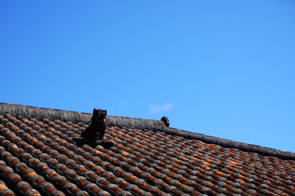 Exploring Okinawa’s Stunning Coastline: Cliffs, Bridges, and Hidden Beaches Exploring Okinawa’s Stunning Coastline: Cliffs, Bridges, and Hidden Beaches