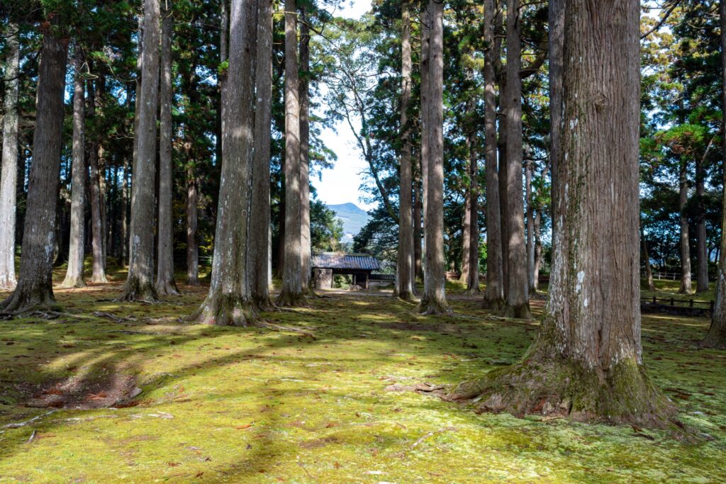 Takachiho Gorge: Walking Through Japan’s Legendary Valley of the Gods