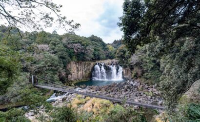 Sun, Surf, and Sacred Shrines: Exploring the Nichinan Coast