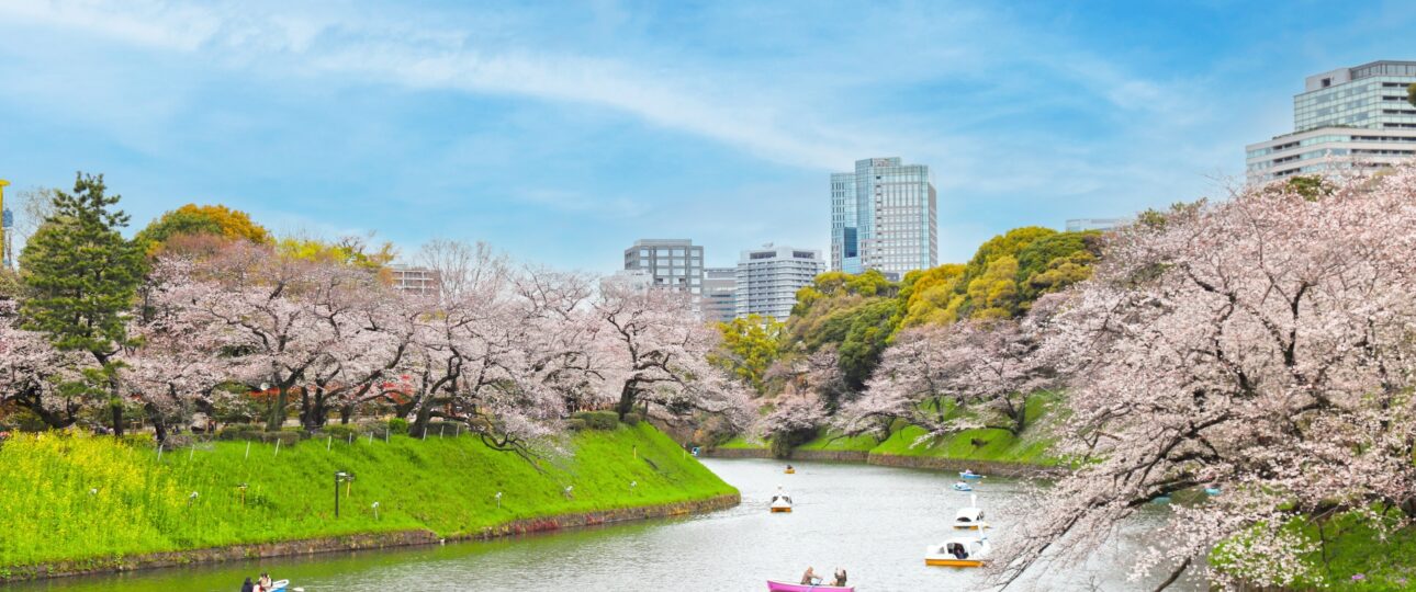 Real 8-Day Japan Itinerary for Seniors | Comfortable & Accessible Private Japan Itinerary Real 8-Day Japan Itinerary for Seniors | Comfortable & Accessible Private Japan Itinerary