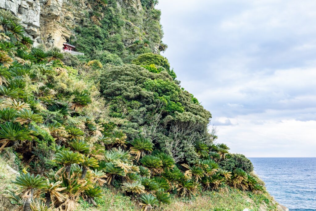 Miyazaki’s Sacred Mythology Route: From Takachiho to Amano Iwato Shrine