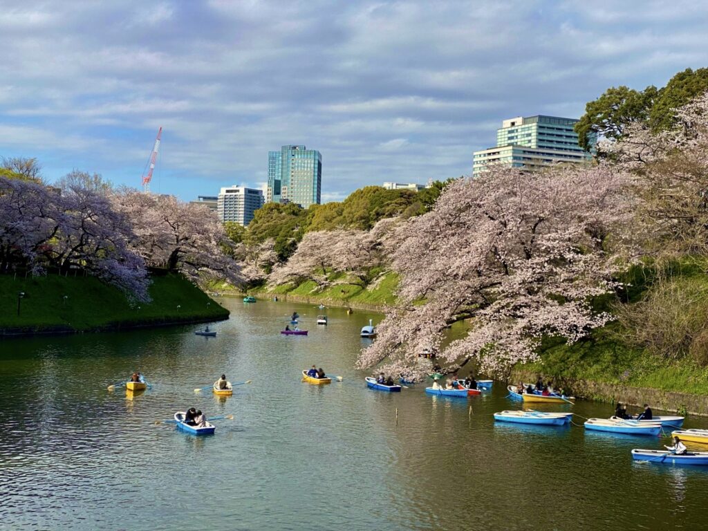 Real 8-Day Japan Itinerary for Seniors | Comfortable & Accessible Private Japan Itinerary Real 8-Day Japan Itinerary for Seniors | Comfortable & Accessible Private Japan Itinerary