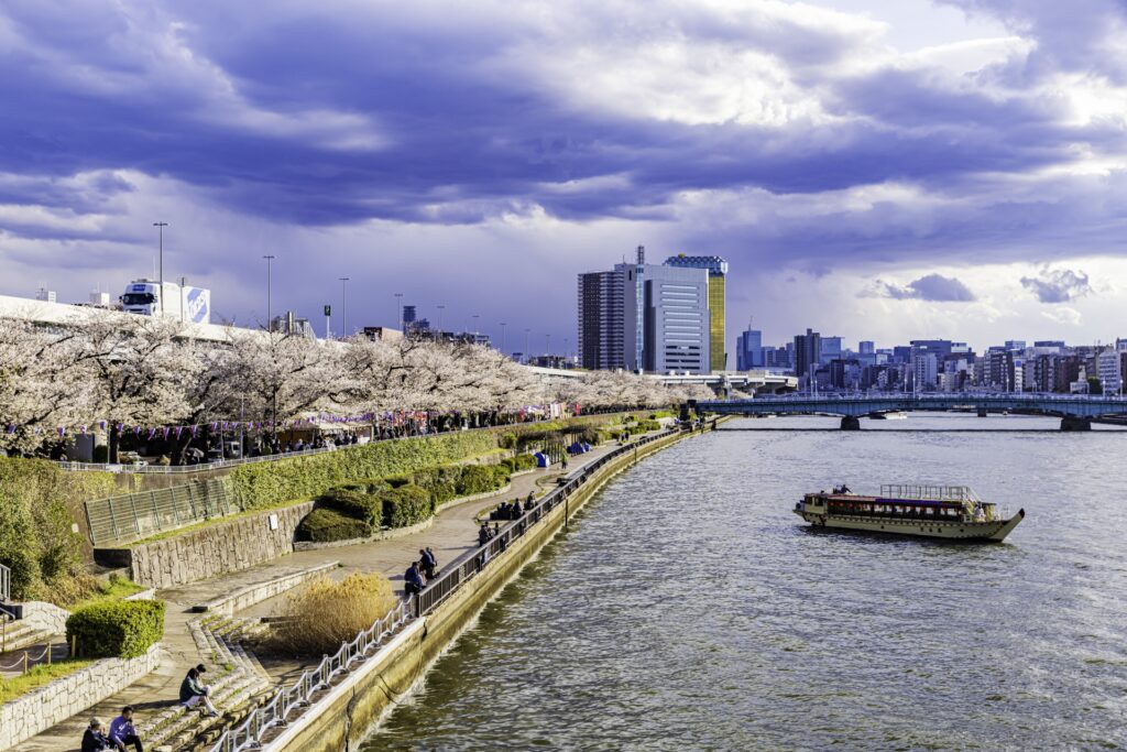 Hidden Cherry Blossom Parks Most Tourists Miss in Tokyo