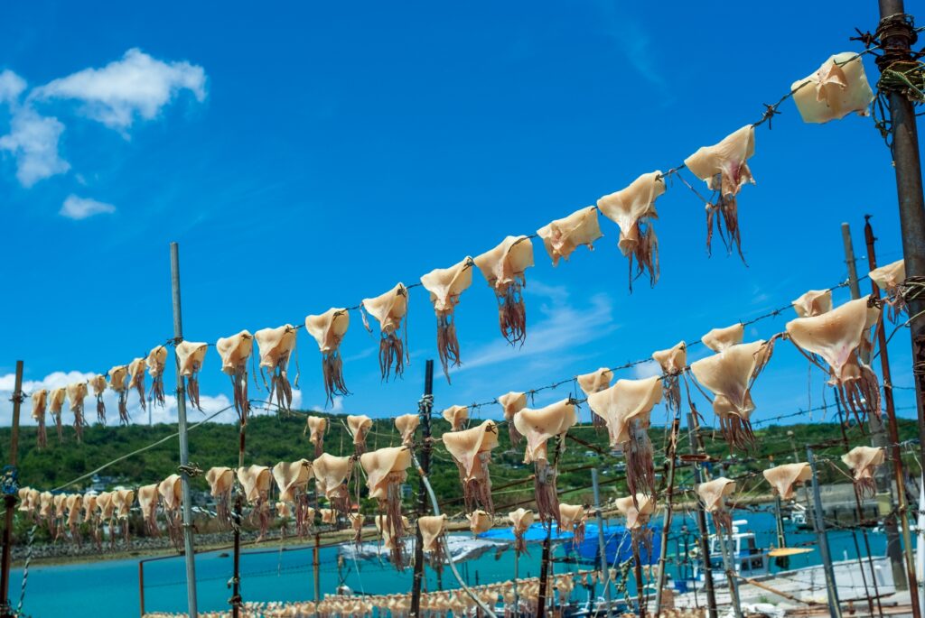 Kerama Islands: Discover Okinawa’s Crystal-Clear Paradise