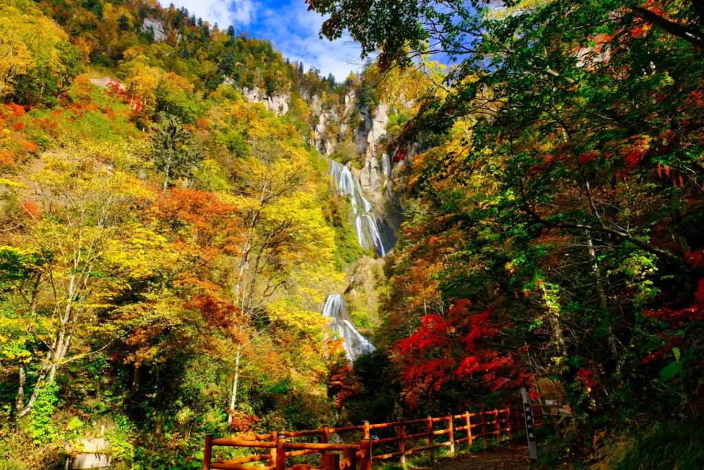 Japan Autumn Colors Guide: Why Hokkaido Peaks Earlier Japan Autumn Colors Guide: Why Hokkaido Peaks Earlier