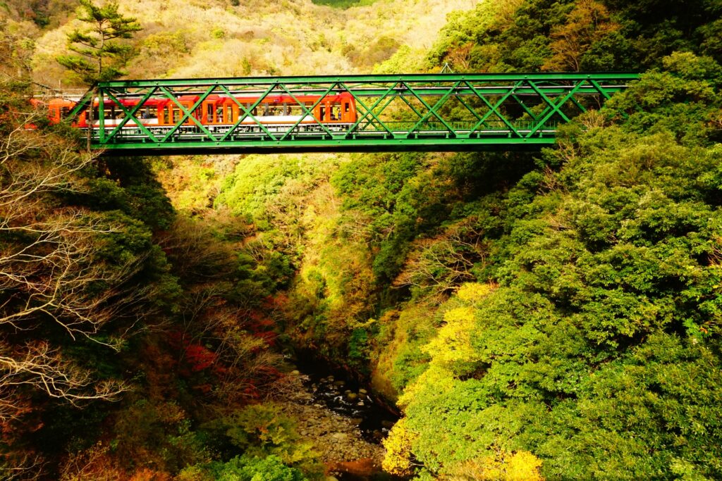 No Lines, Just Red Leaves: Hidden Fall Locations in Hakone