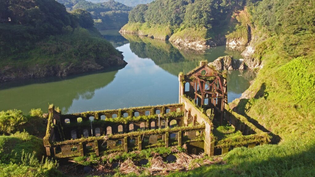 Yakushima: The Ancient Forest Island That Inspired Princess Mononoke Yakushima: The Ancient Forest Island That Inspired Princess Mononoke