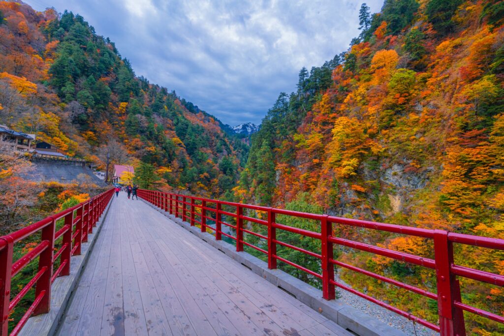 Hidden Autumn Destinations in Japan: 8 Scenic Places Beyond the Crowds Hidden Autumn Destinations in Japan: 8 Scenic Places Beyond the Crowds