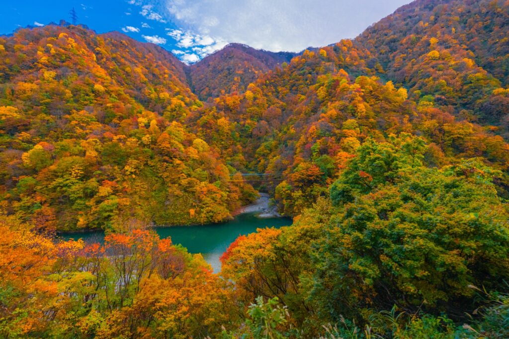 Kurobe Gorge Railway: Ride Through Japan’s Most Dramatic Autumn Landscape